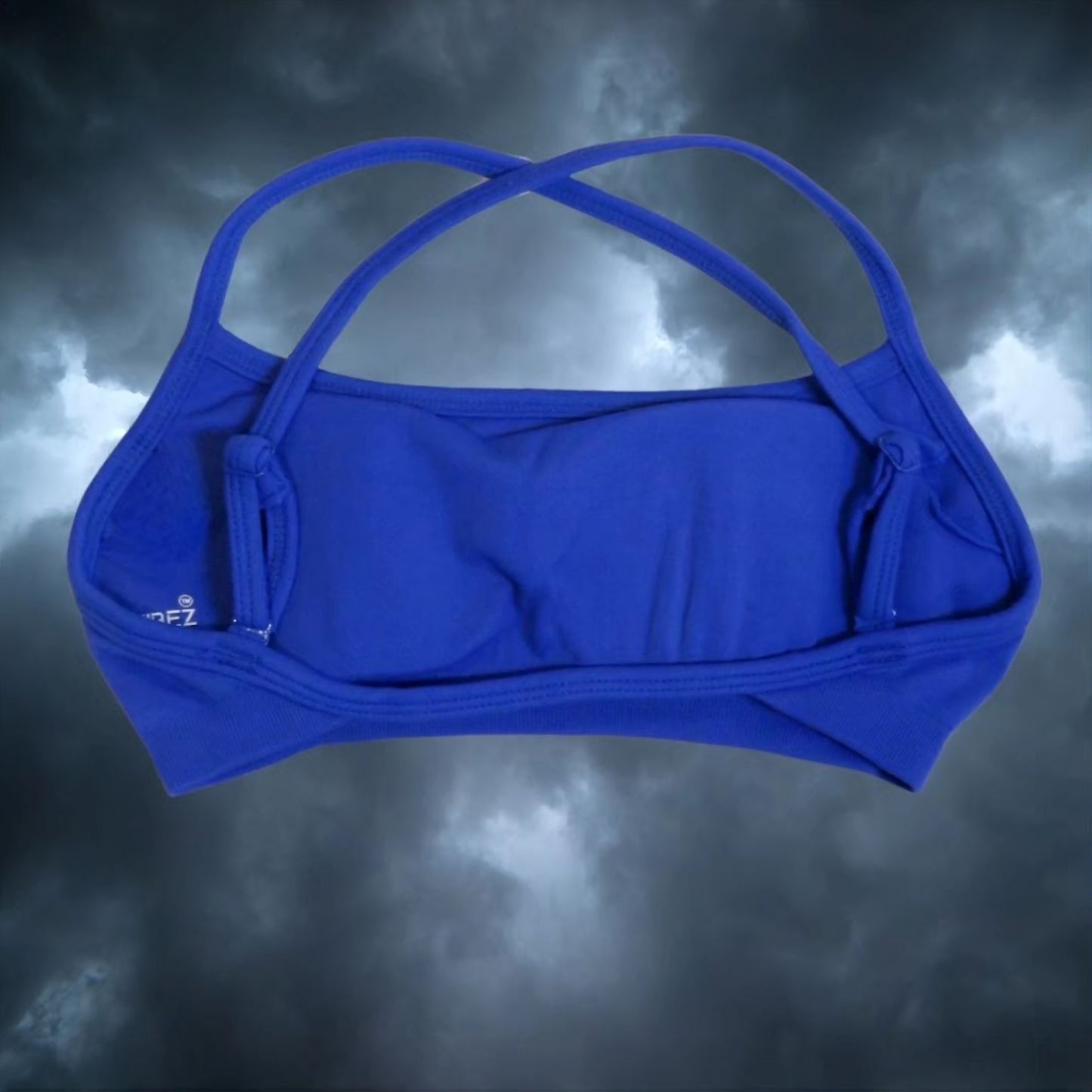 Tigress Energy Blue Sport Bras