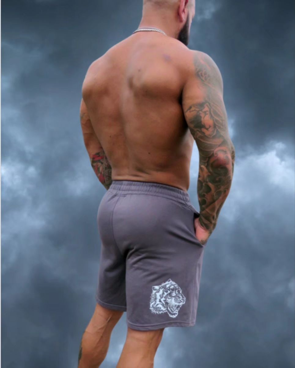 El Campeon League "Premium" Shorts Blue Lavender